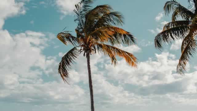 image for news Royal Caribbean Cruises Ltd. (RCL) Is a Trending Stock: Facts to Know Before Betting on It