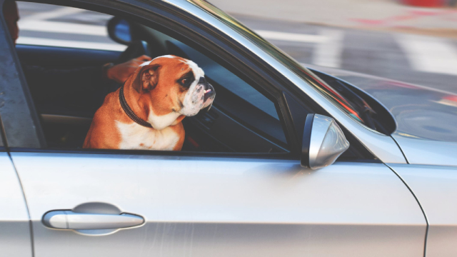 Toyota says plant shutdown last week due to server malfunction